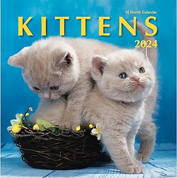 Photo 1 of Kittens 2024 Hangable Wall Calendar - 12" x 24" Open - Cute Kitty Cat Photo Gift - Sturdy Thick Beautiful Kitten Photography - Large Full Page 16 Months for Organizing & Planning - Includes 2023
