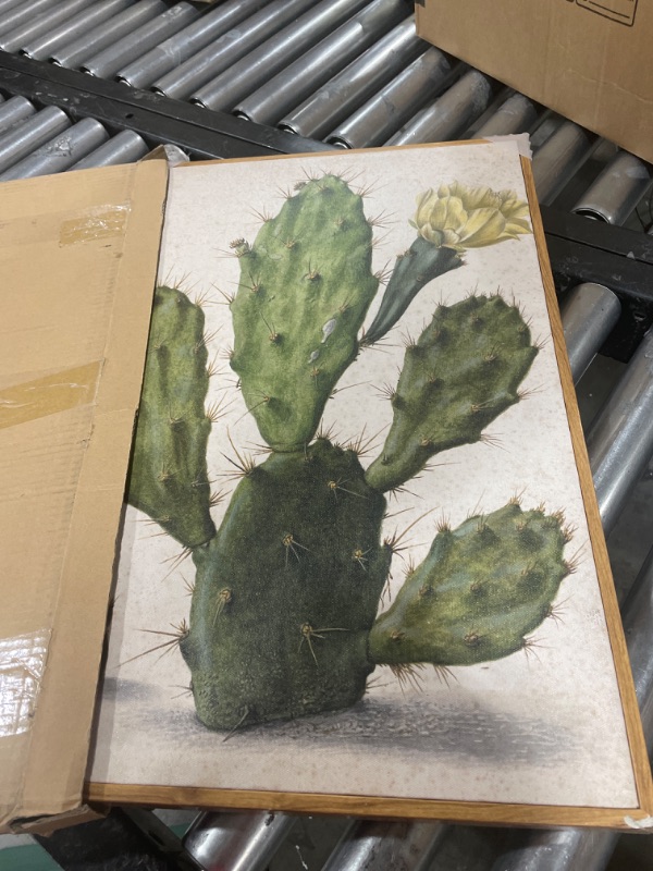 Photo 2 of ARPEOTCY Vintage Botanical Large Framed Wall Art, Quiet Cactus Plant Paintings Art Decor Aesthetic, Canvas Art, Retro Still Life Wall Pictures for Room Decoration, 16x24 Inch Cactus 16"x24"