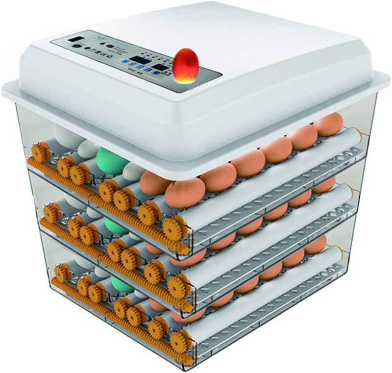 Photo 1 of JAEDO 170 Egg Incubator Poultry Hatcher with Fully Automatic Egg Turning and Temperature Humidity Control for Chickens Ducks Goose Birds, Built-in Egg...