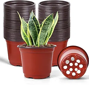 Photo 1 of HECTOLIFE 100 Pcs 6 Inch Plant Nursery Pots,Plastic Seedling Pots,Seed Starting Pot Flower Plant Container for Succulents, Seedlings, Cuttings, Transplanting