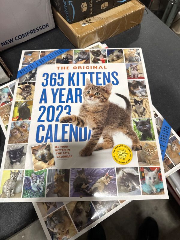 Photo 1 of 365 Kittens-A-Year Picture-A-Day Wall Calendar 2023