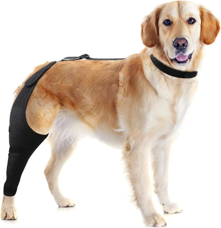 Photo 1 of  Dog Knee Brace - Knee Cap Dislocation for ACL, CCL, Cruciate Ligament Injury, Joint Pain and Muscle Sore, Adjustable Dog Rear Legs Bracer with Metal Side Stabilizers (Large, Left)