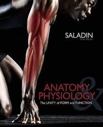 Photo 1 of Anatomy & Physiology: The Unity of Form and Function 6th (sixth) edition by Saladin, Kenneth published by McGraw-Hill Science/Engineering/Math (2011) [Hardcover] Hardcover 