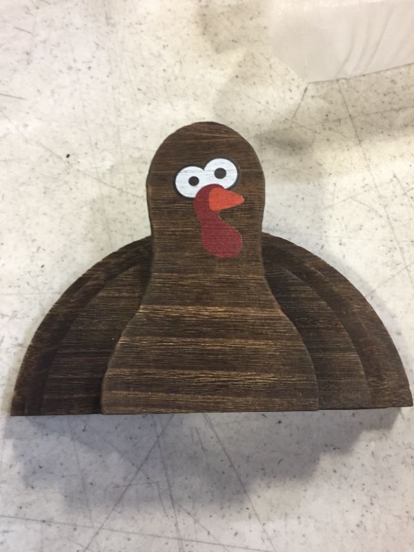 Photo 1 of  WOOD TURKEY