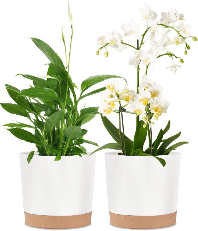 Photo 1 of 2 Pack 8 Inch Planters for Indoor Plants, Plastic Flower Pots Plant Pots Indoor with Drainage Saucer for Outdoor Garden Home Plant, White 8”
