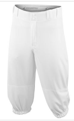 Photo 1 of Champro Triple Crown YOUTH Knicker Baseball Pants

SIZE- X-LARGE 