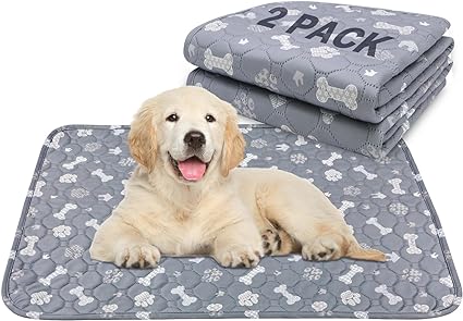 Photo 1 of 2 Pack Washable Pee Pads with Puppy Grooming Gloves - 20" x 28" Super Absorbent Leak-Proof Reusable Pet Bed Mat, Non-Slip Waterproof Dog, Cat and Whelping Training Pads for Playpen, Potty, Dog Crate
