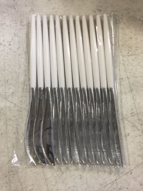 Photo 1 of 12 PCS Disposable Silver Knives 