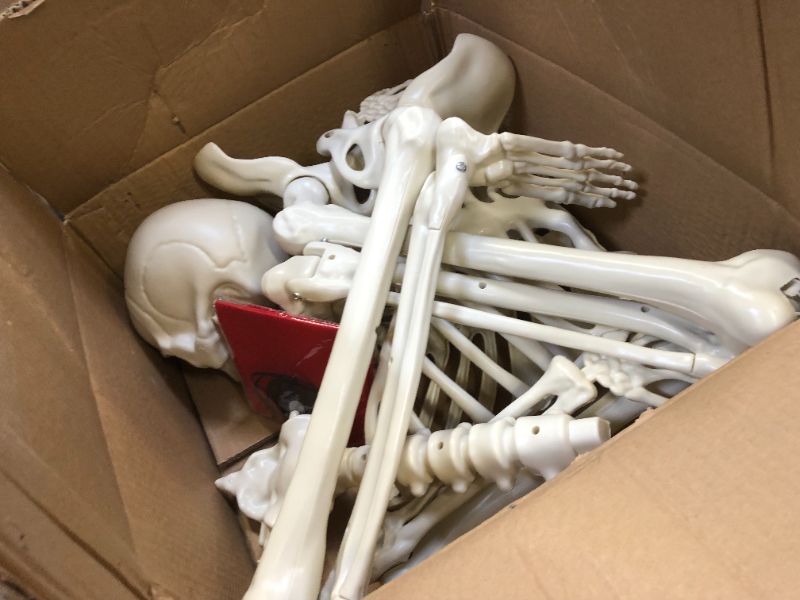 Photo 1 of 5.4Ft Skeleton Halloween Decoration, 65Inch/165cm Life Size Posable Halloween Skeleton, Full Size Body Skeleton with Movable Joints for Halloween Indoor Outdoor Haunted House Decor 5ft pirate skeleton
