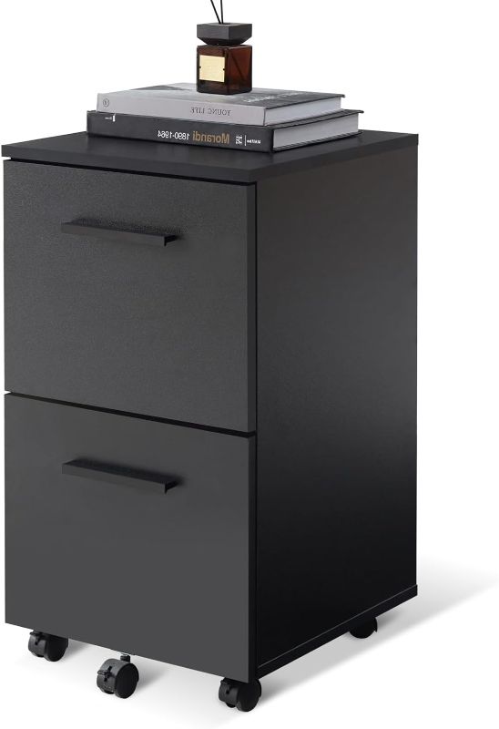 Photo 1 of VICLLAX 2 Drawer Mobile File Cabinet, Vertical Filing Cabinet with 5 Wheels Fits Legal/Letter/A4 File Size for Home Office, Black
