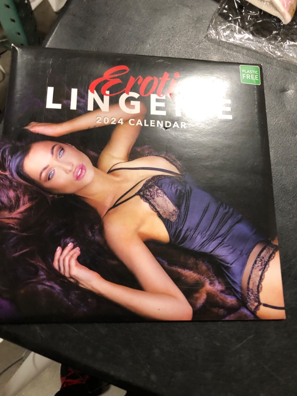 Photo 2 of 2024 Erotic Lingerie Wall Calendar by Red Robin, 12 x 12