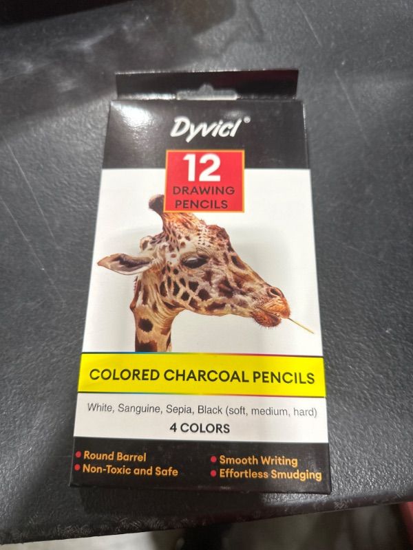 Photo 2 of Dyvicl Colored Charcoal Pencils Drawing Set, 12 Pieces Black White Charcoal Pencils for Drawing, Sketching, Shading, Blending, Pastel Chalk Pencils for Beginners and Artists