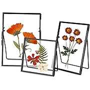 Photo 1 of Glass Frame for Pressed Flowers Handmade, Double Glass Floating Picture Frame Set, Brass Photo Frame, Standing Frame Set, Small Picture Frame, Gifts for Family, 4×4", 4×6", 5×7", Black
