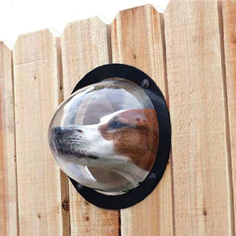 Photo 1 of PetPeek Fence Window for Pets
