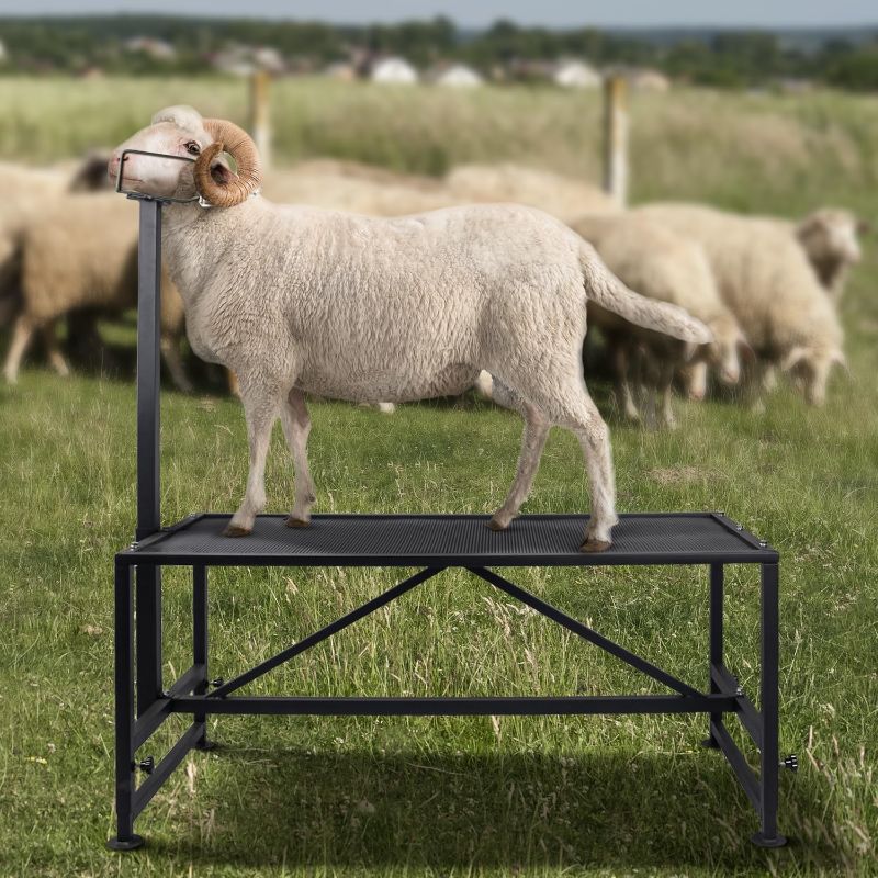 Photo 1 of BEAUCOM Livestock Stand,Trimming Stand,Metal Goat Milking Stand,Goat Stand,Sheep Stand,Goat Stand for Trimming Hooves 47x23 inches Black
