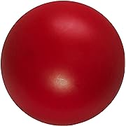 Photo 1 of Virtually Indestructible Best Ball for Dogs, 4.5-inch, Colors May Vary
