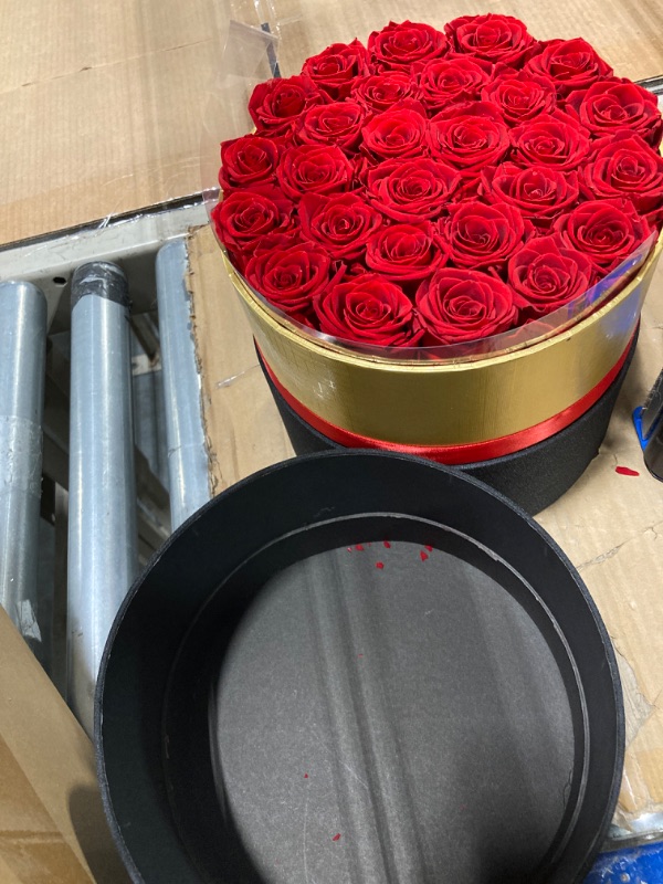 Photo 2 of 19-Piece Forever Flowers Round Box - Preserved Roses, Immortal Roses That Last A Year - Eternal Rose Preserved Flowers for Delivery Prime Mothers Day & Valentines Day - Red