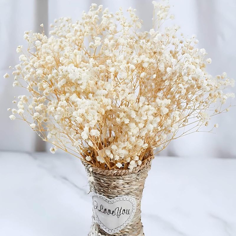 Photo 1 of 2000+ Dried Babys Breath Flowers Bulk - 17" Ivory White Dried Flower Bouquet, 100% Natural Gypsophila Branches for Vase Filler, Wedding, Table Centerpiece, Home Decor, DIY Wreath Floral, Crafts