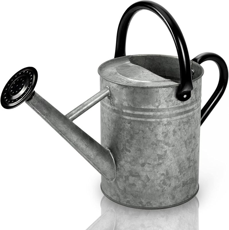 Photo 1 of ***MISSING HEAD*** 
Cesun Metal Watering Can 1 Gallon for Outdoors Plants, Galvanized Steel Watering Pot with Removable Spray Spout, Movable Upper Handle - Perfect for Outdoor Use (Vintage Zinc)
