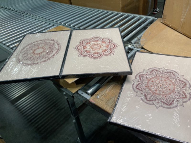 Photo 1 of 3 pieces of Framed Canvas Wall Art Boho Abstract Flower Artwork Pictures for Living Room Bedroom Dining Room Office Wall Decor, Size: 16" X 24" X 3 pieces 16" X 24" X 3 pieces Brown