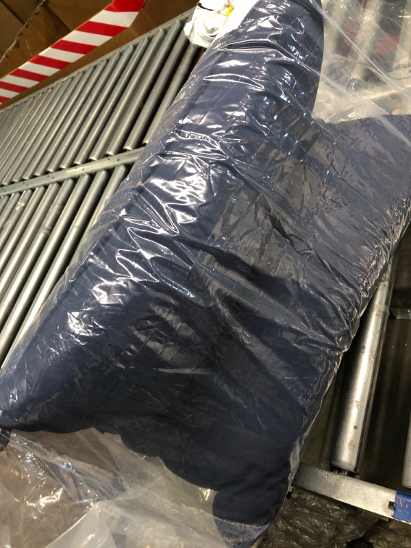 Photo 1 of 20x20 inch  Couch Pillow (blue) **FACTORY SEALED***