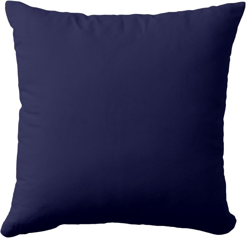 Photo 1 of 20x20 inch  Couch Pillow (blue) **FACTORY SEALED***