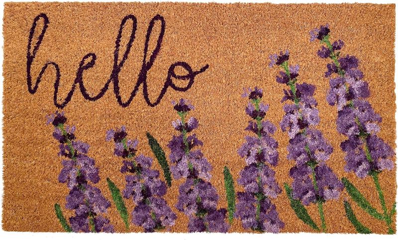 Photo 1 of **SIMILAR BUT NOT THE SAME** Calloway Mills AZ106011729 Indigo Hello Doormat, 17" x 29" Natural/Purple
