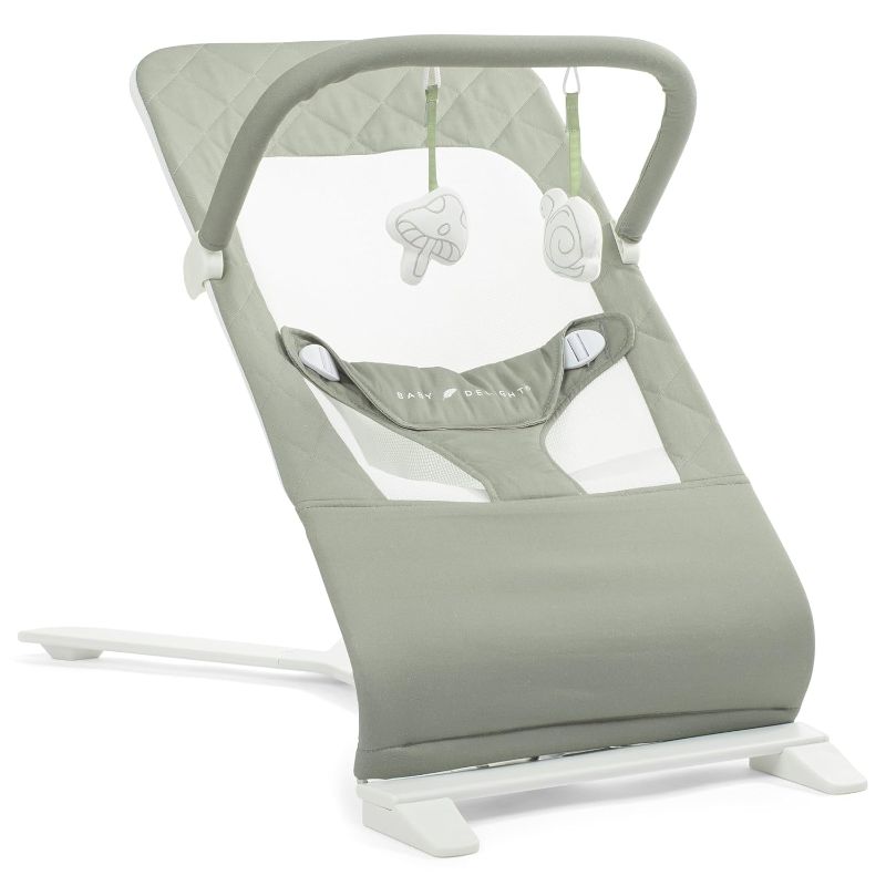 Photo 1 of Baby Delight Alpine Deluxe Portable Baby Bouncer | Infant | 0-6 Months | 100% GOTS Certified Organic Cotton Fabric | Organic Sage