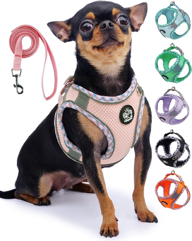 Photo 1 of Frienperro Breathable Dog Harness with Leash Set for Small Dog, Dog Harness for Medium Dogs No Pull, Adjustable Reflective Dog Harness, Summer Dog Harnesses for Puppy Small Dogs, Cat Harness Set
