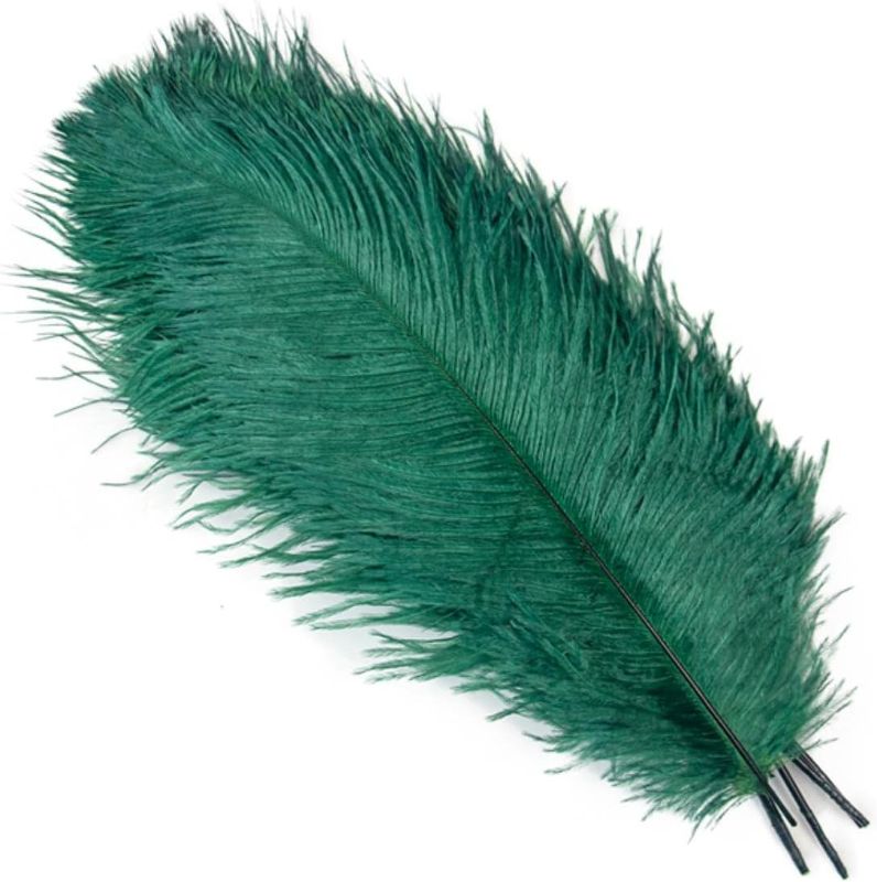 Photo 1 of 10PCS Colorful Natural Ostrich Feathers 20-50 CM/8-20 inch for Handicraft Accessories Wedding Table Centerpiece Decoration Pluma-09 Dark Green,25-30cm 10-12inch
