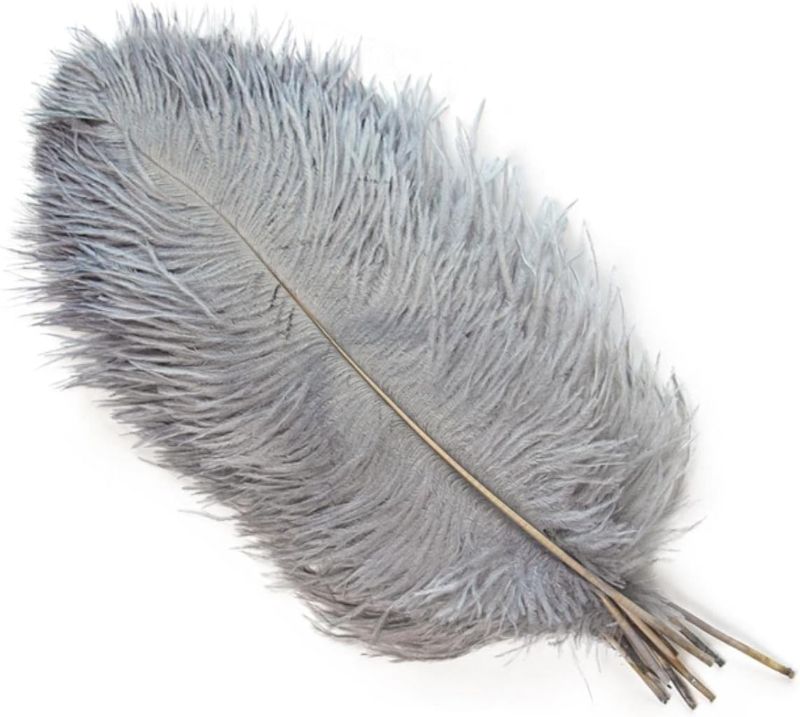 Photo 1 of 10PCS Colorful Natural Ostrich Feathers 20-50 CM/8-20 inch for Handicraft Accessories Wedding Table Centerpiece Decoration Pluma-20 Light Gary,25-30cm 10-12inch
