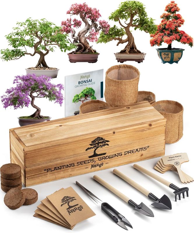 Photo 1 of AVERGO Bonsai Tree Kit – 5X Unique Bonzai Trees +1 Extra | Complete Indoor Bonsai Starter Kit for Growing Bonsai Plants with Tools & Planters – Gardening Gifts for Women & Men Set A