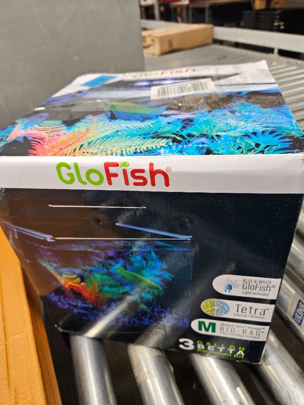 Photo 3 of GloFish Betta Shadowbox Aquarium Kit Clear Glass Graphics Carton