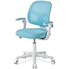 Photo 1 of DIOSHOME Kids Desk Chair, Height Adjustable Chair, Ergonomic Chair, Kids Office Chair, Kids Computer Chair.Breathable mesh and high Rebound Sponge Material.Suitable for Families, Schools, and Offices
