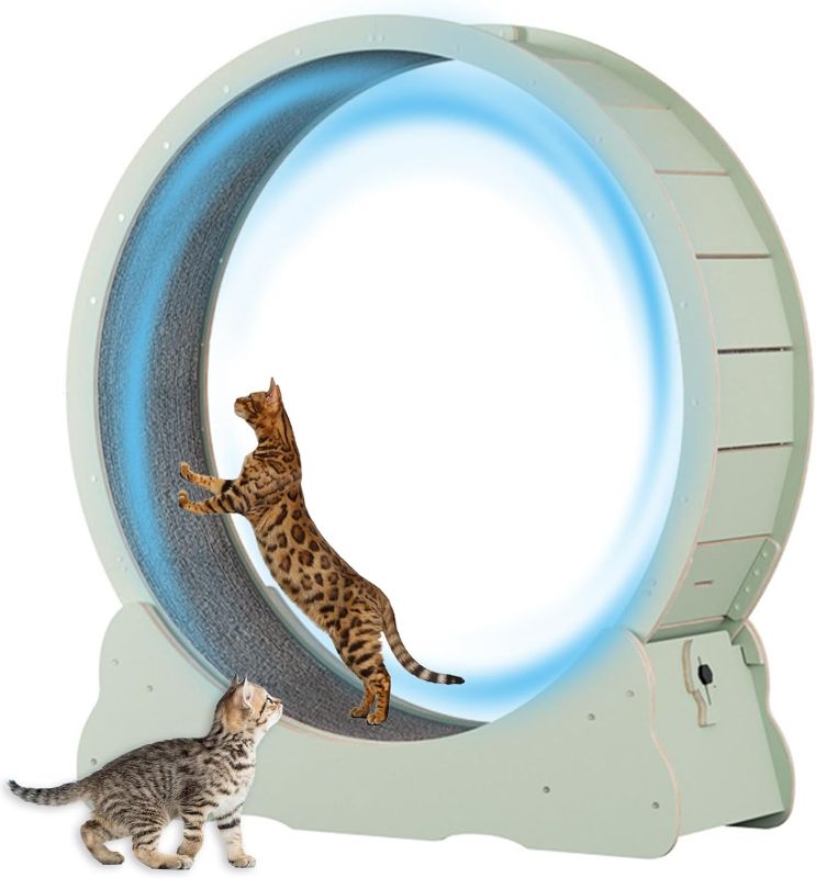 Photo 1 of ***STOCK PHOTO REFERENCE ONLY*** Cat treadmill 