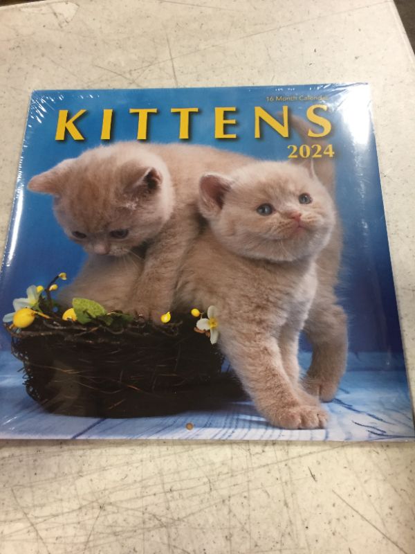 Photo 2 of Kittens 2023 Hangable Wall Calendar - 12" x 24" Open - Cute Kitty Cat Photo Gift - Sturdy Thick Beautiful Kitten Photography - Large Full Page 16 Months for Organizing & Planning - Includes 2022