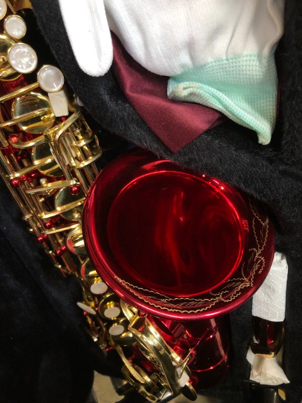 Photo 3 of SLADE Saxophone Eb Alto Saxophone for Beginner Students, Saxaphone Adult, Saxophone Alto, Beginner Saxophone, Alto Saxaphone, Saxofon Alto, Saxophone, Red Ruby