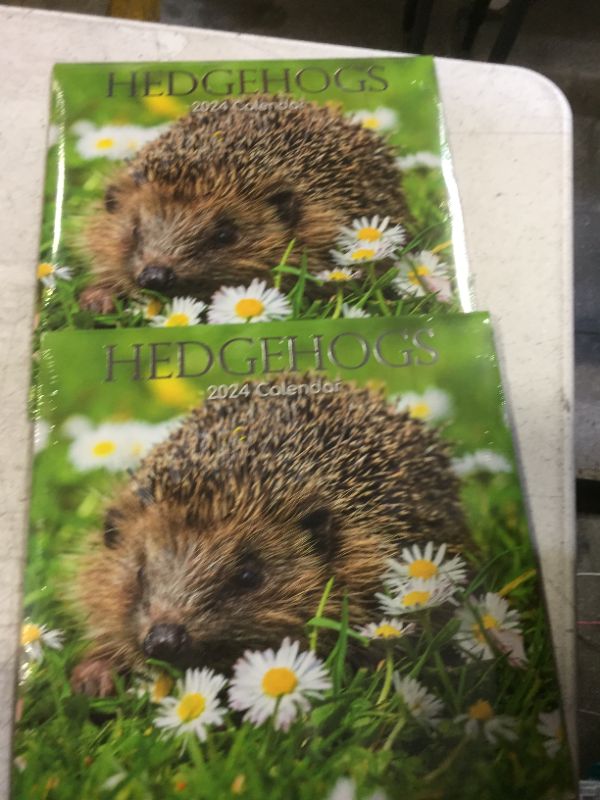 Photo 1 of hedgehogs calendar 2 pack  