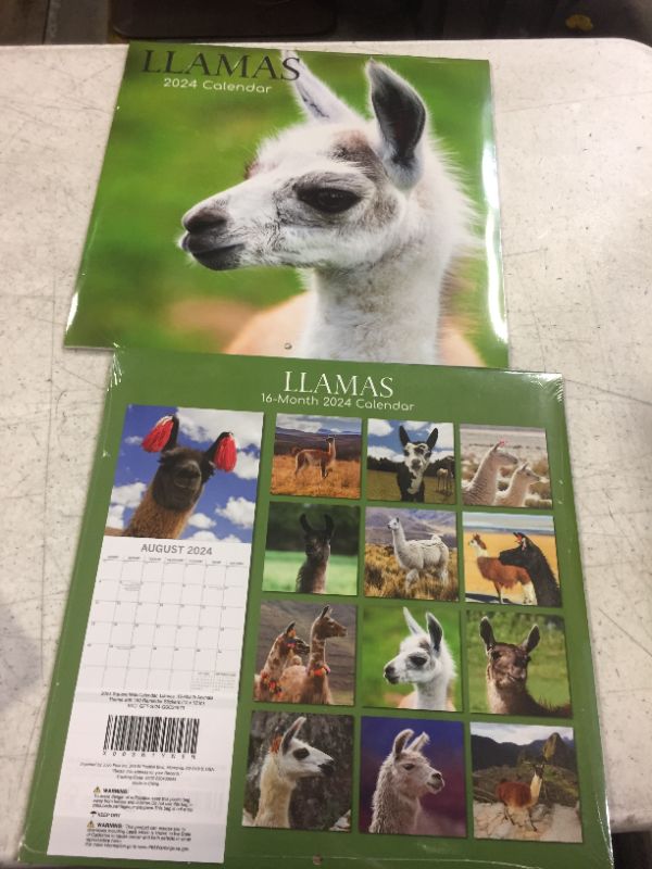 Photo 1 of 2024 LLAMAS CALENDAR - 2 PACK 