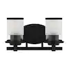 Photo 1 of Truitt 14.2 in. 2-Light Matte Black Modern Transitional Vanity with Clear and Frosted Glass Shades
