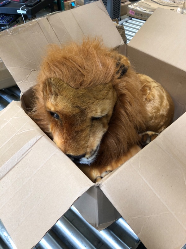 Photo 1 of Stuffed Toy Lion