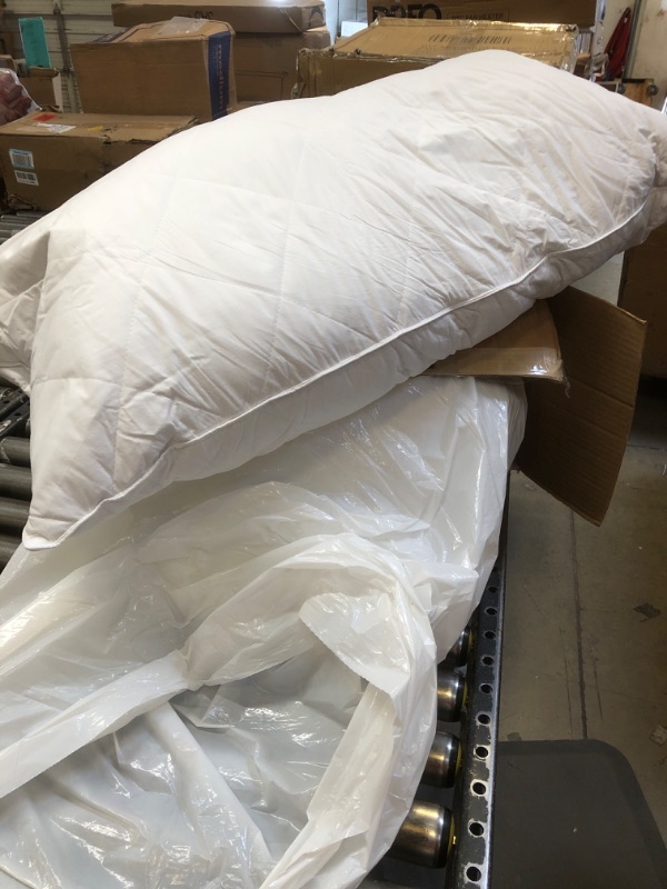 Photo 1 of 2Pack Bed Pillow Insert