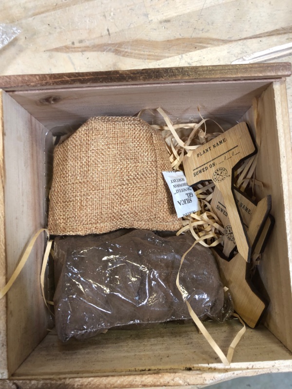 Photo 4 of Bonsai Tree Seed Starter Kit - Mini Bonsai Plant Growing Kit, 4 Types of Seeds, Potting Soil, Jute Bags, Pruning Shears Scissor Tool, Plant Markers, Wood Gift Box