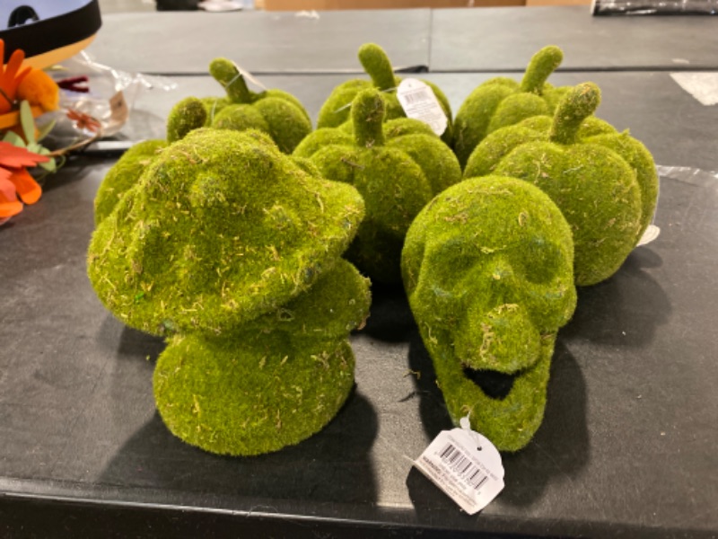 Photo 1 of 8pc Moss Covered Decor 