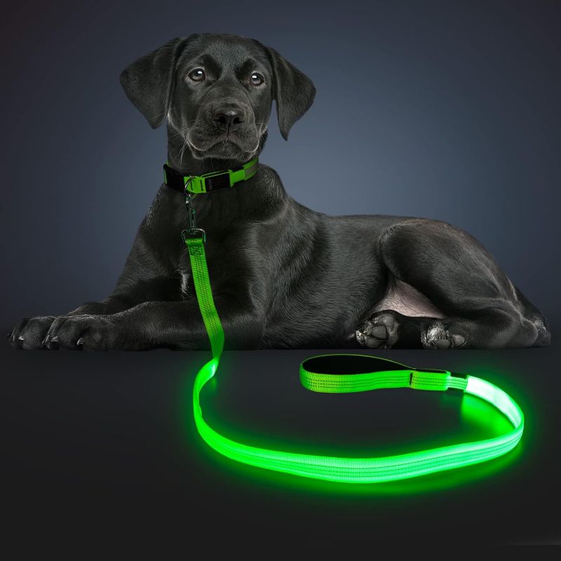 Photo 1 of Kpuplol LED Light Up Dog Leash 3 Lighting Modes USB Rechargeable, High Visibility Up to 400 Yards Safety Glow in The Dark Dog Leash for Large Medium Small Pets
