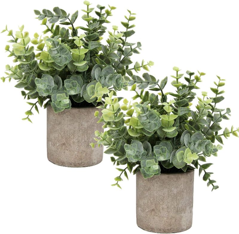 Photo 1 of Flojery Mini Potted Plants Artificial Eucalyptus Boxwood Rosemary Faux Herbs Small House Plants 8.3"-9" Tall for Indoor Greenery Tabletop Décor Centerpiece (Sprayed Eucalyptus)