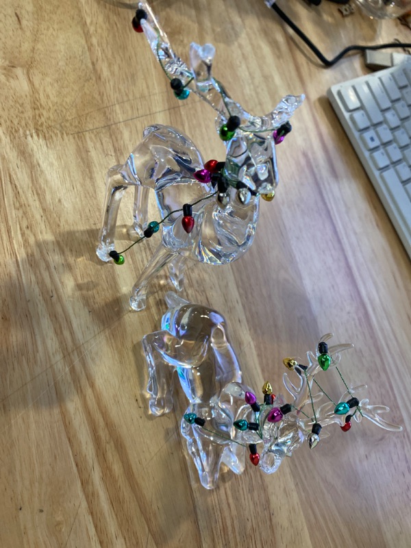 Photo 1 of clear acrylic reindeers with string light wrapped on antlers