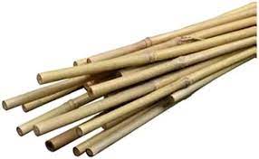 Photo 1 of 6 FT BAMBOO STICKS --- 50 PCS