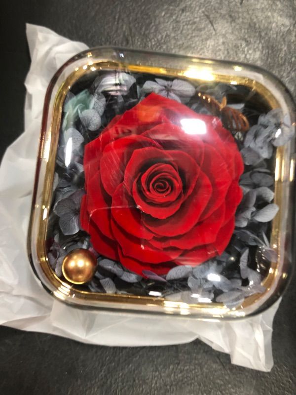 Photo 1 of Preserved Real Rose with Jewelery Box, Artificial Flowers Decoration Romantic Rose Gifts for Women in Her Wife Girlfriend Birthday Anniversary Valentines Day Mothers Day Christmas(Black)