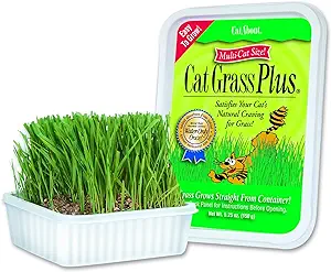 Photo 1 of Cat-A'bout Cat Grass For Indoor Cats, 5.25 oz, Cat Grass Growing kit for all cats, Cat Grass Growing Kit Includes Potting Mix, Seeds, and Container 11.26